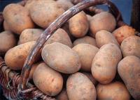 К чему снится мешок картошки: толкование по соннику