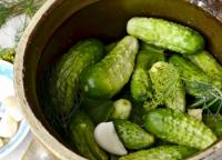 Preparing cucumbers.  How to pickle cucumbers?  Delicious pickled cucumbers - recipes.  Pickled cucumbers 