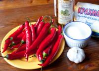 Spicy seasonings and hot pepper sauces: recipes from around the world