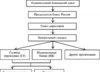 Rusya Federasyonu Merkez Bankası merkez bankasının işlevleri ve işlevleri
